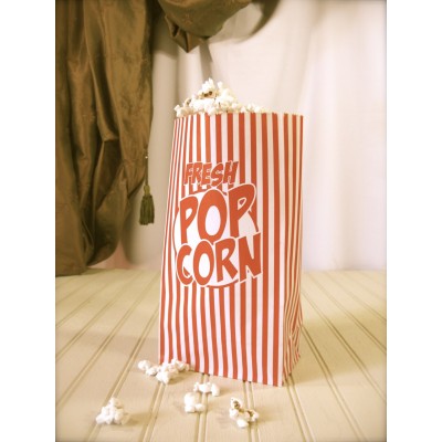 Bolsa POPCORN paquete x 100