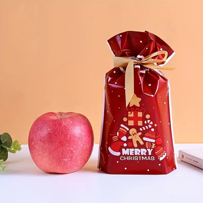Bolsa de navidad paquete x 50