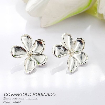 Aretes en covergold rodinado